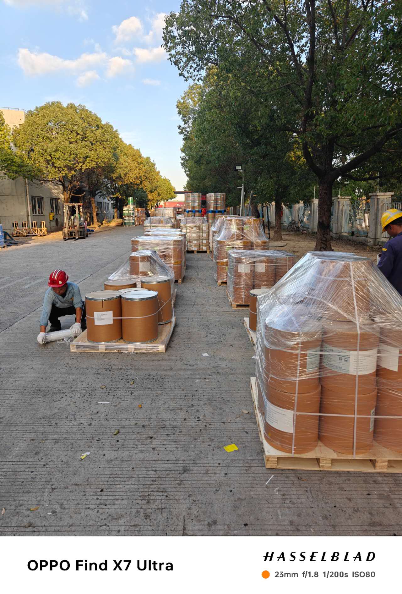 Multiple wrapped pallets staged for export shipment